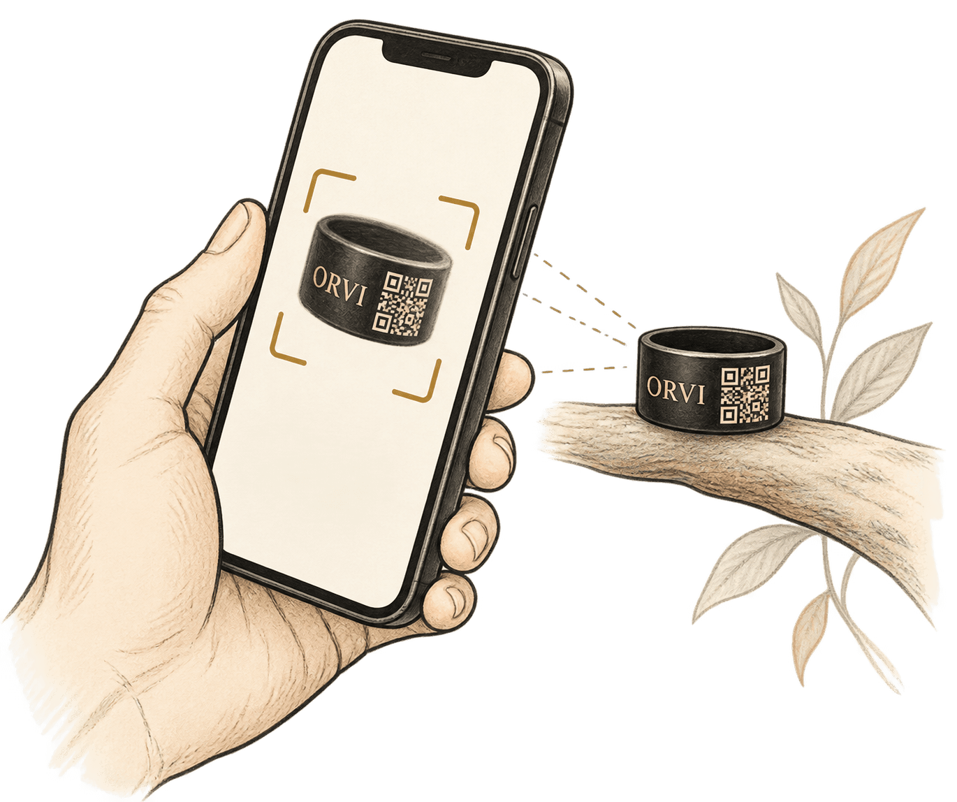 Illustration of a smartphone scanning an ORVI QR bird ring.